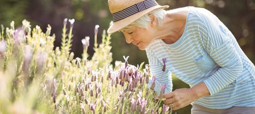 Nachtelijke geurverspreiding voor cognitieve gezondheid bij oudere volwassenen - B2B AromaDiffusing